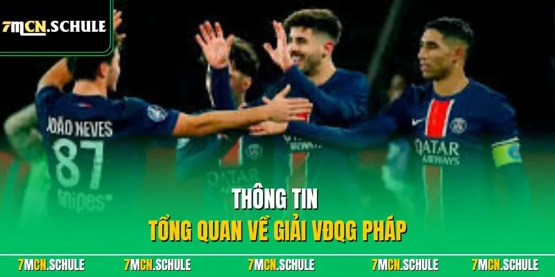 Thông tin tổng quan về giải VĐQG Pháp