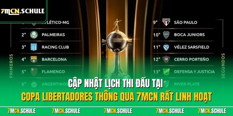Cập nhật lịch thi đấu tại Copa Libertadores thông qua 7MCN rất linh hoạt