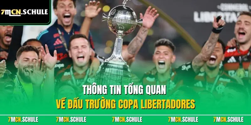 Thông tin tổng quan về đấu trường Copa Libertadores