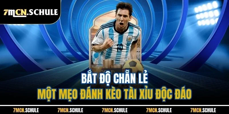 Bắt độ chẵn lẻ - Một mẹo đánh kèo tài xỉu độc đáo